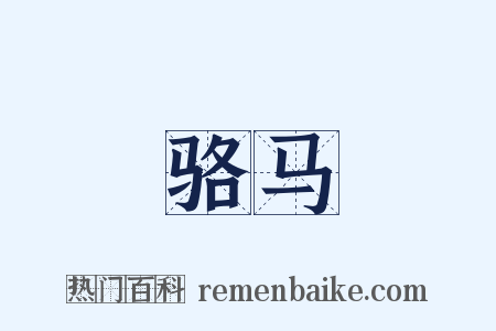 骆马是什么意思的图片